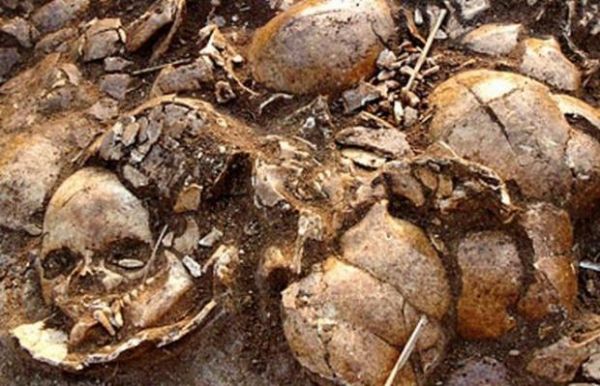 descoperire macabra la arad oase si cranii de copii si adulti gasite in timpul unor lucrari de 440300