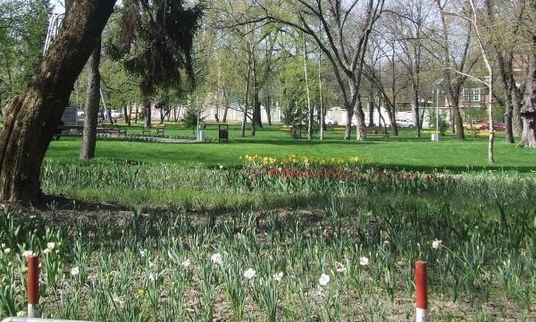 targ florii parc